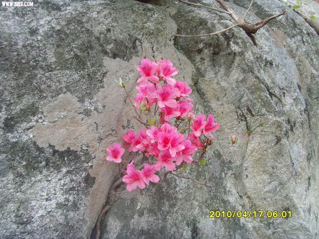 SNV30027.jpg