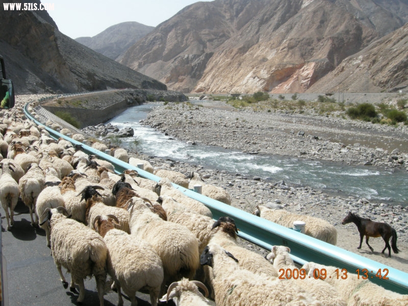 DSCN3145.JPG