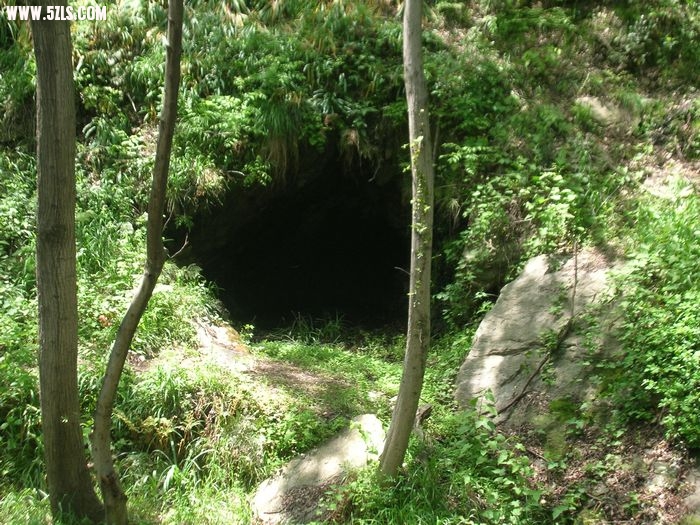 yunwushan 032.jpg