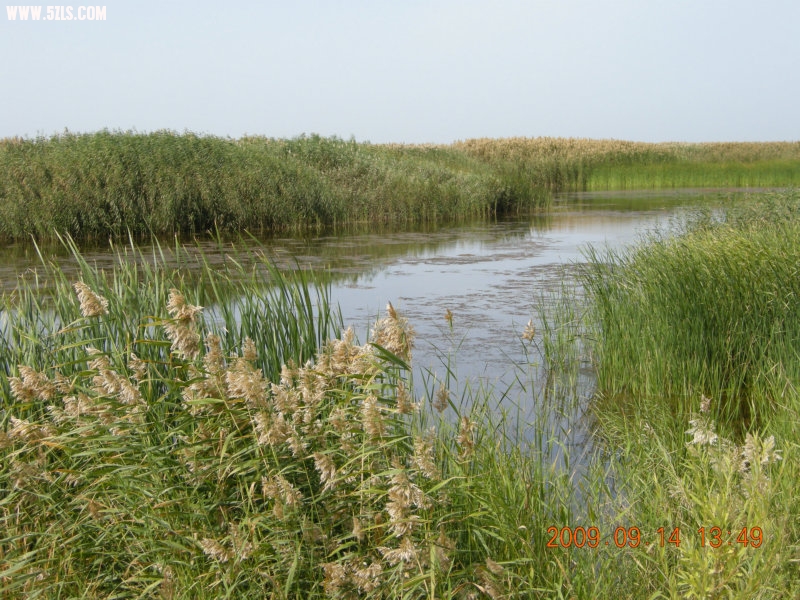 DSCN3219.JPG