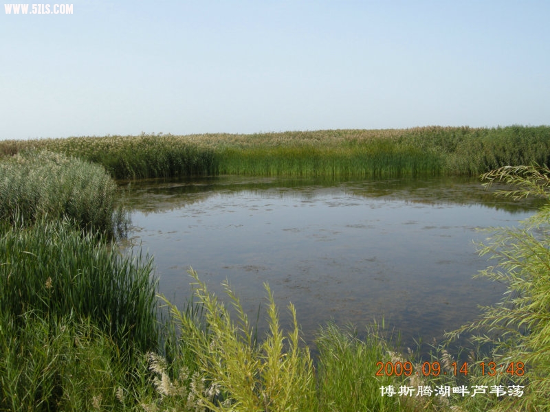 DSCN3218.JPG