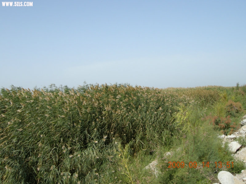 DSCN3220.JPG