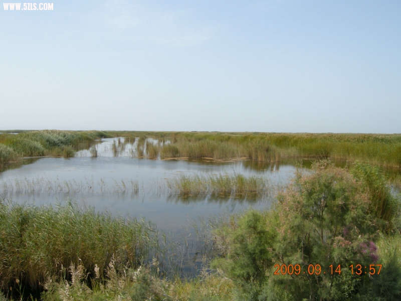 DSCN3227.JPG