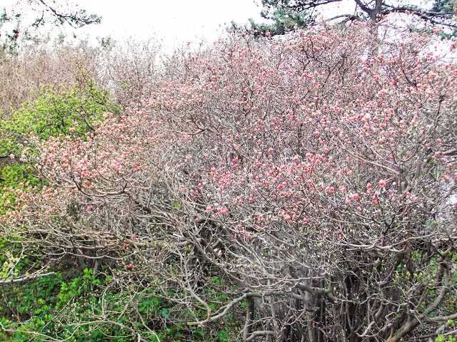 111.jpg