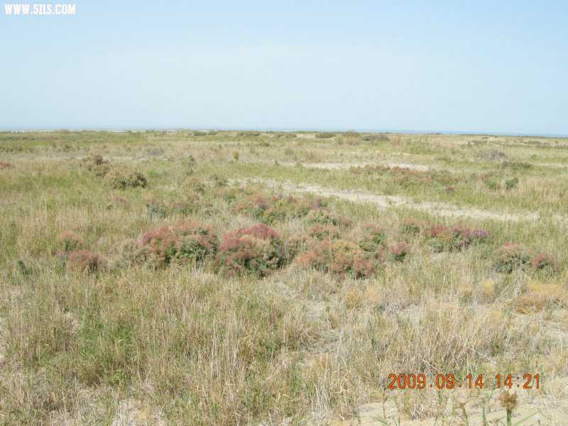 DSCN3238.JPG