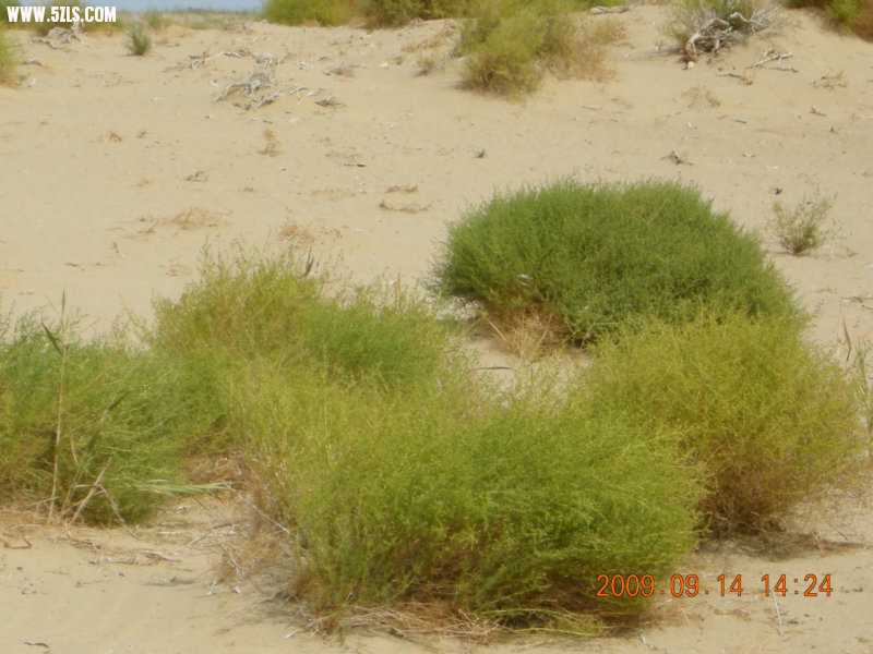 DSCN3240.JPG