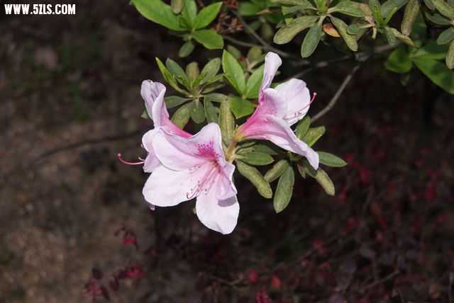 DSC01143.JPG