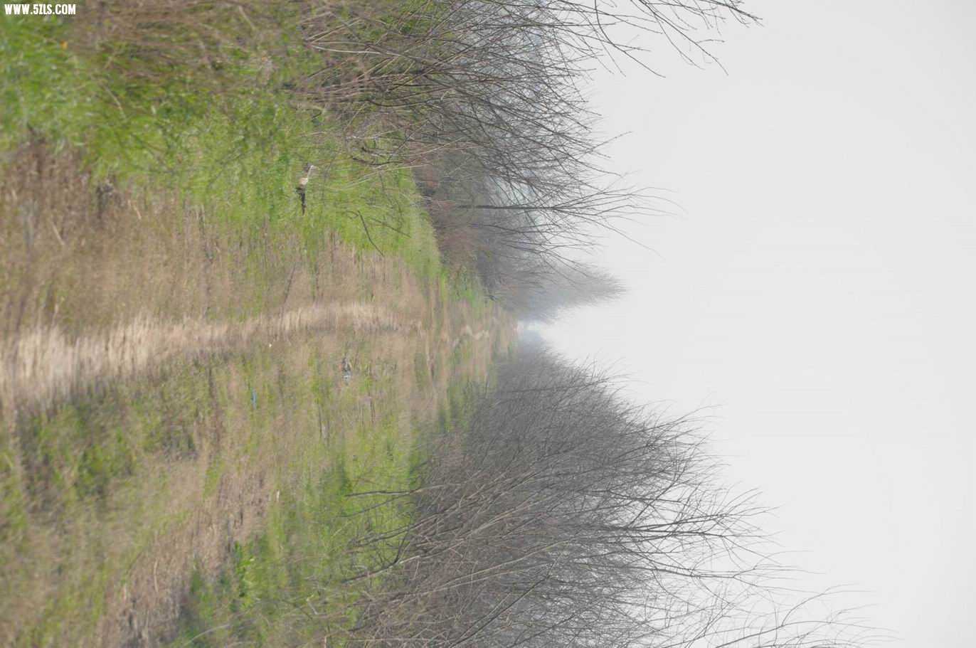 这路不