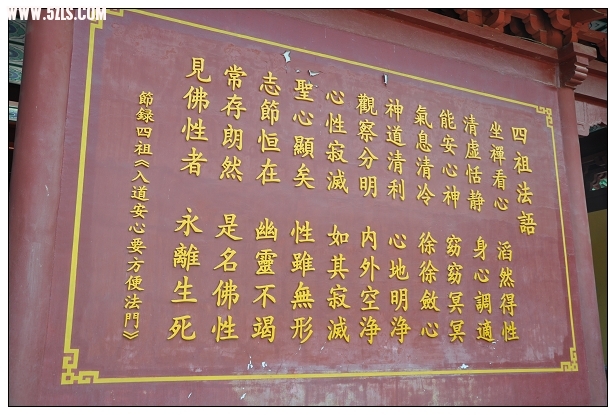 DSC_1024-1.jpg