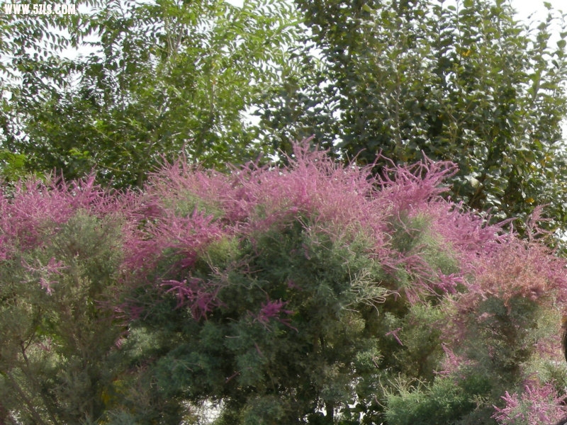 DSCN3246.JPG