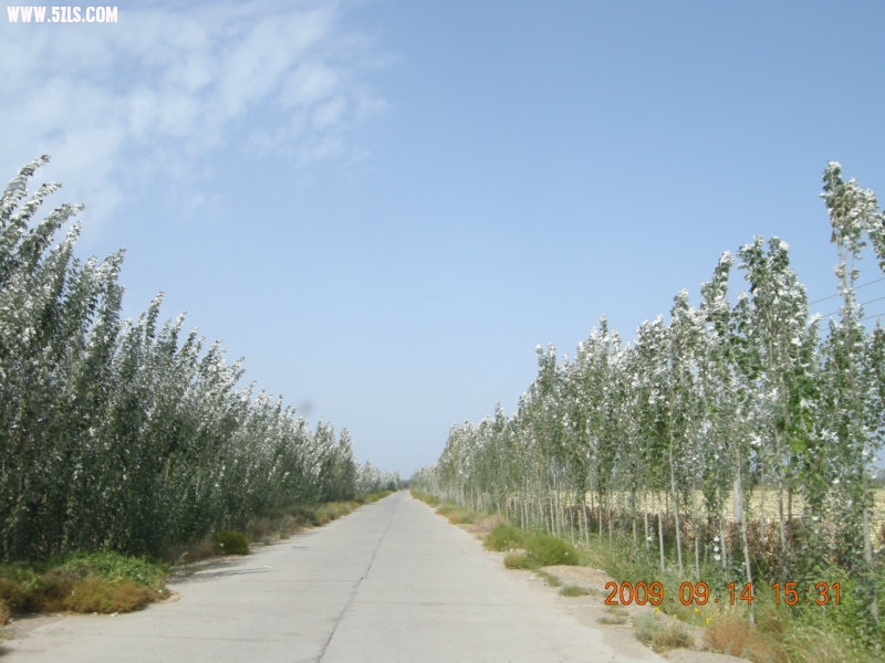 DSCN3259.JPG