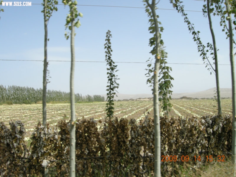 DSCN3260.JPG