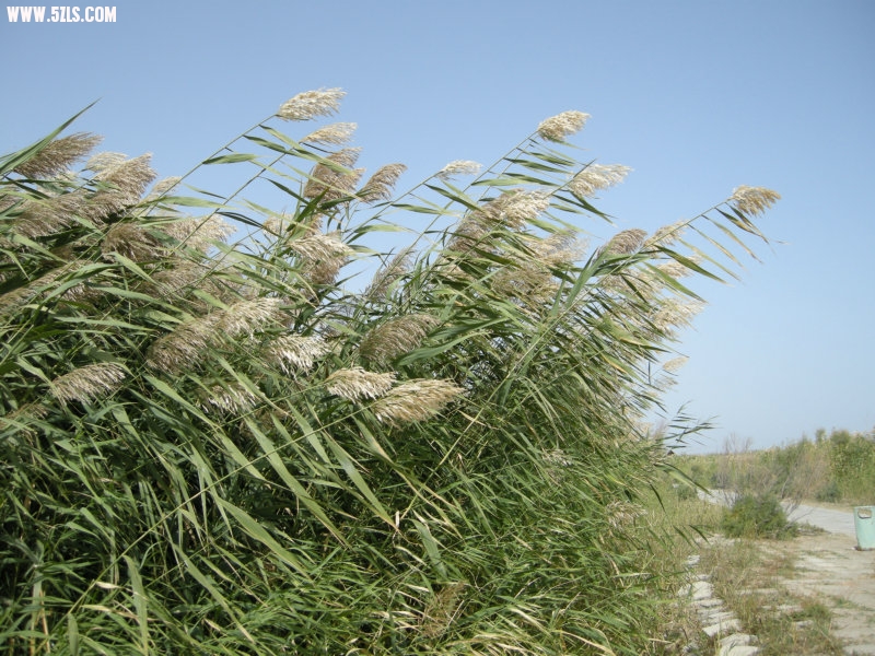 DSCN3263.JPG