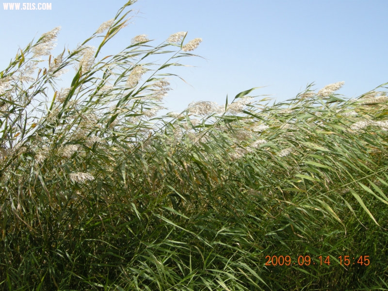 DSCN3266.JPG