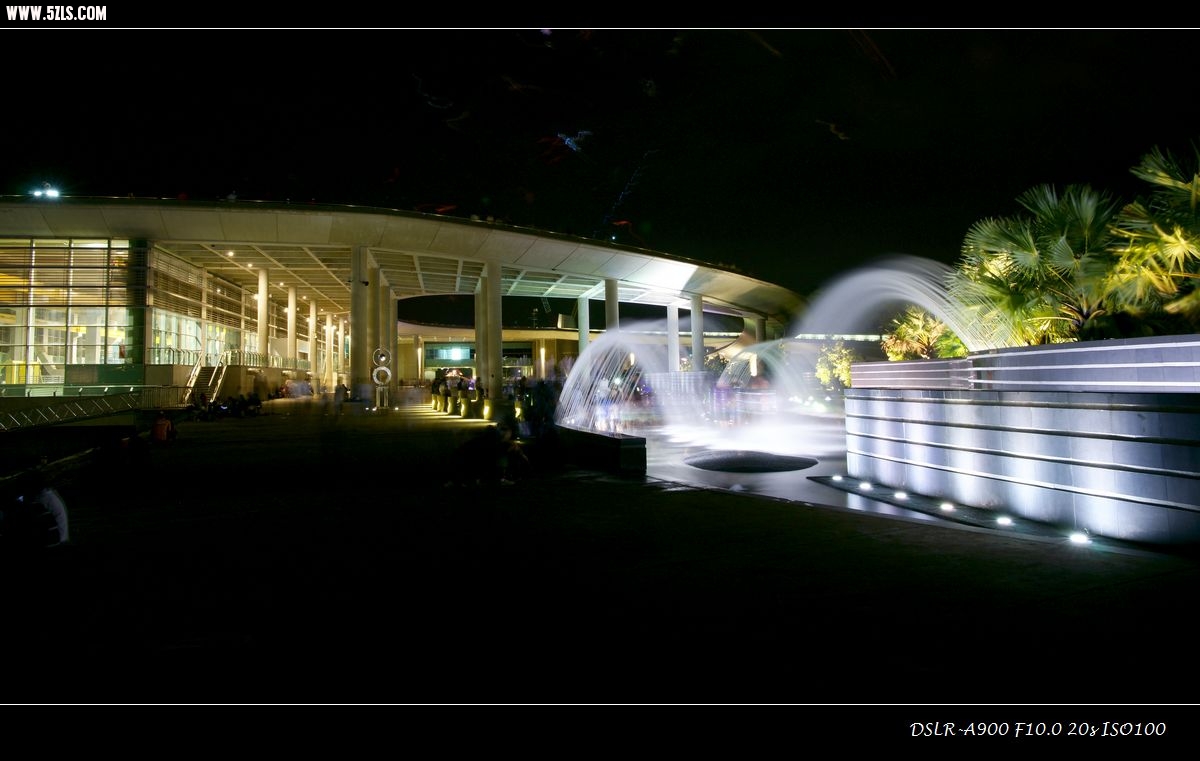 DSC00803.jpg
