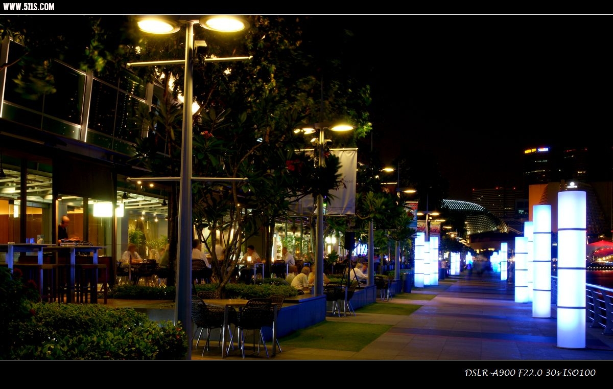 DSC00824.jpg