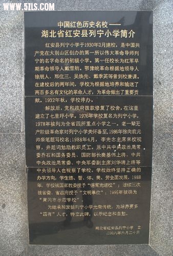 DSC03351.jpg