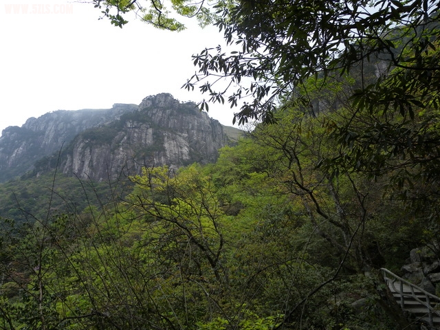 DSCN1296.JPG