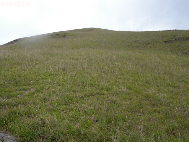 DSCN1307.JPG