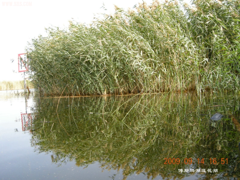 DSCN3289.JPG