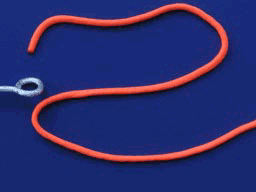 3552053_201005041420253jIcz.gif