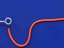 3552053_201005041420255pg59.gif