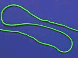 3552053_201005041420254I2Nw.gif