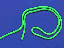 3552053_201005041420257Ewuv.gif