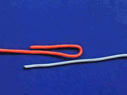 3552053_20100504142025609BG.gif