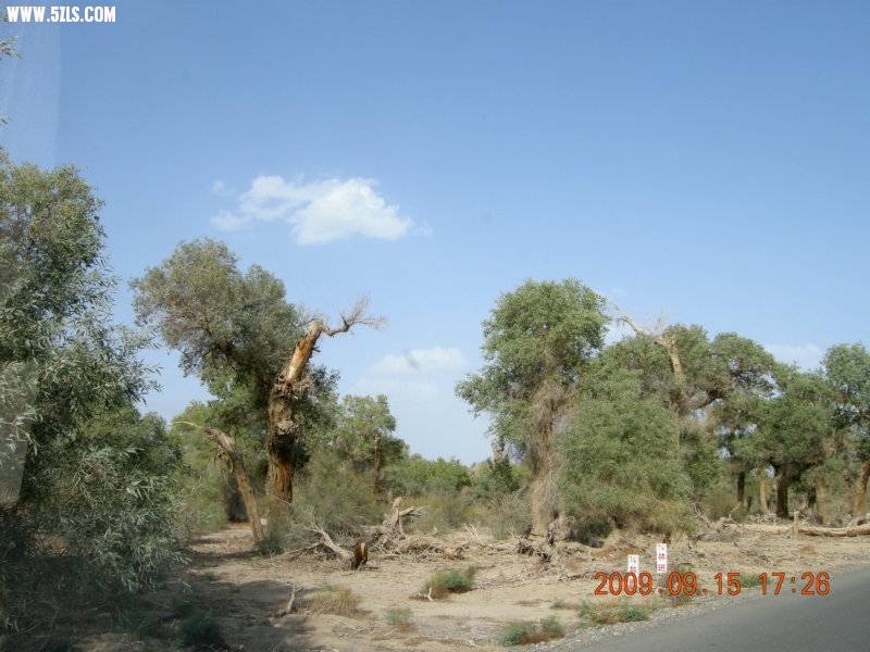 DSCN3360.JPG