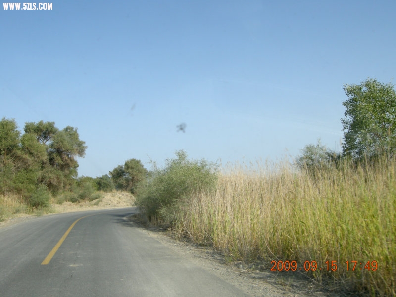 DSCN3371.JPG