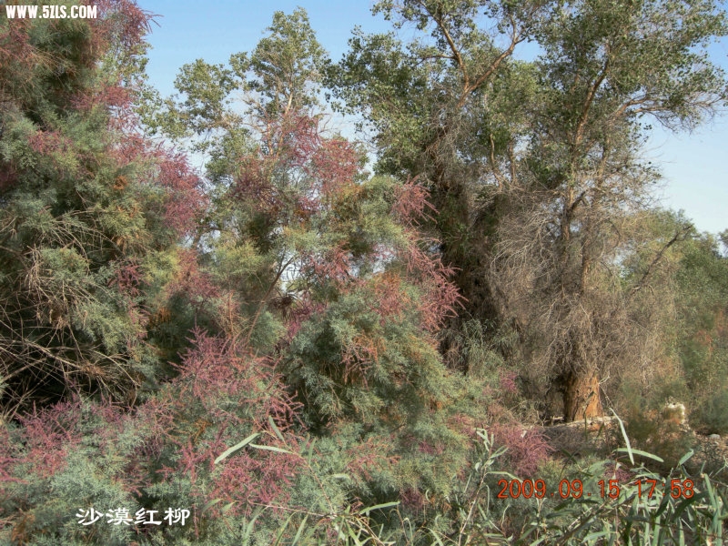 DSCN3375.JPG