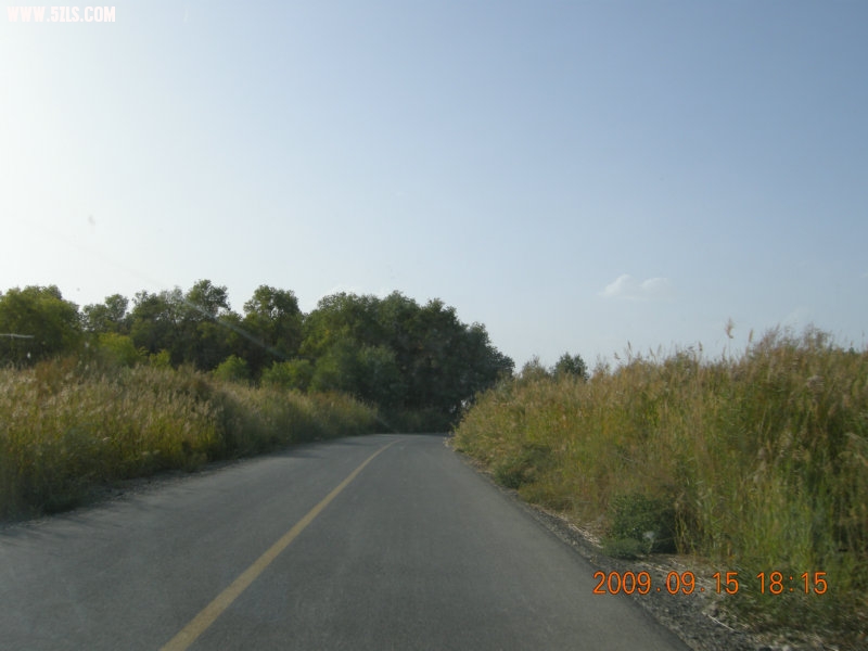 DSCN3385.JPG