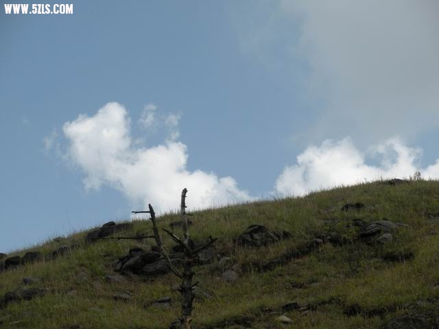 DSCN1181.jpg