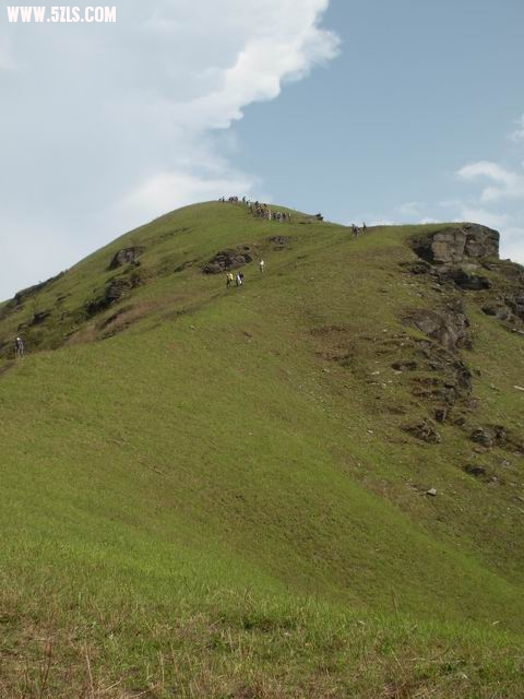 DSCN1211.jpg