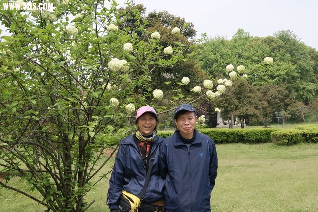 DSC00893.JPG