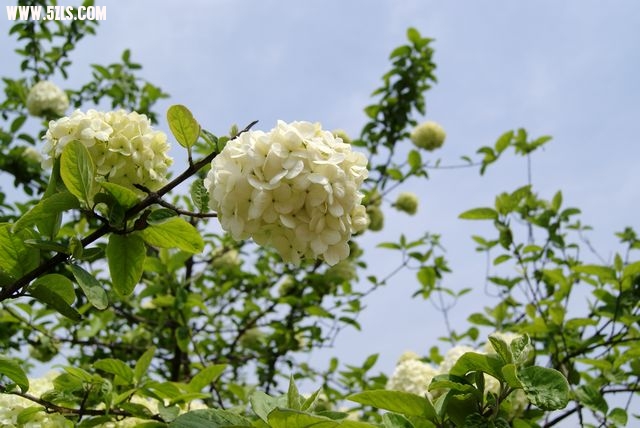 DSC00886.JPG