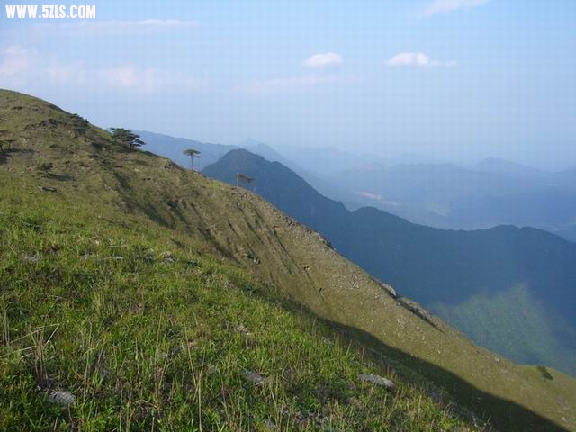 Table_P1070604.jpg