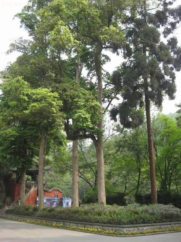 2010-0505 069.jpg