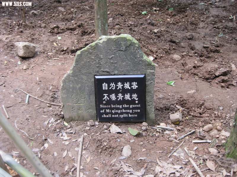 2010-0505 104.jpg