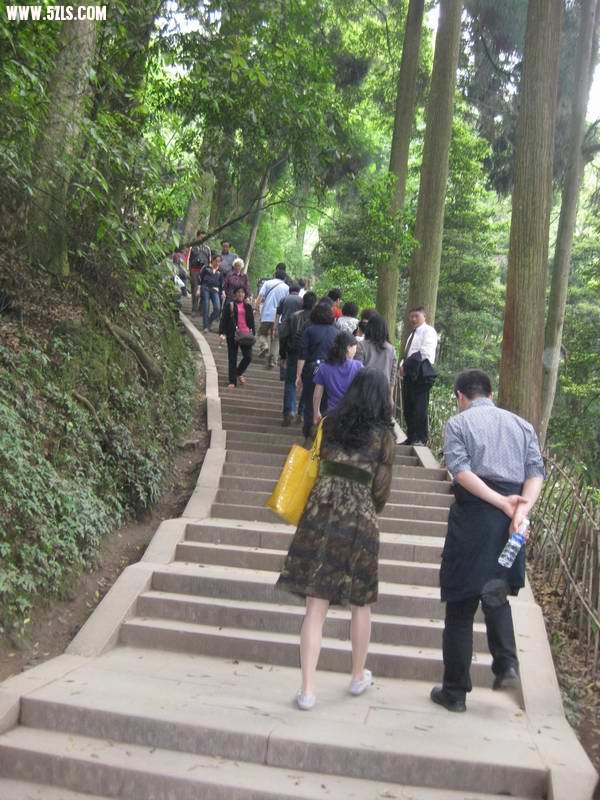 2010-0505 107.jpg