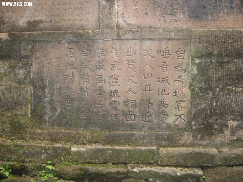 2010-0505 138.jpg
