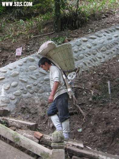 2010-0505 102.jpg