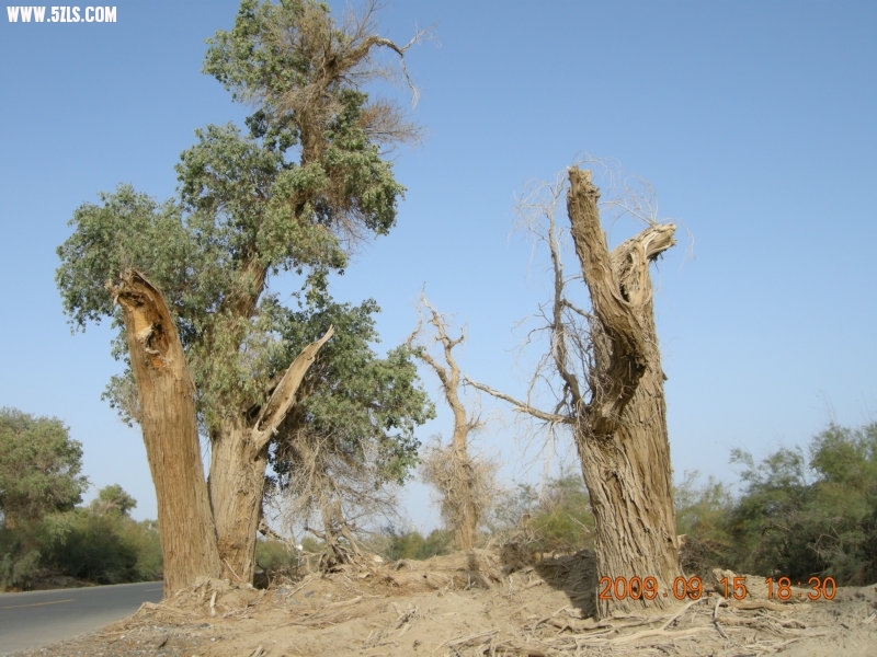 DSCN3390.JPG