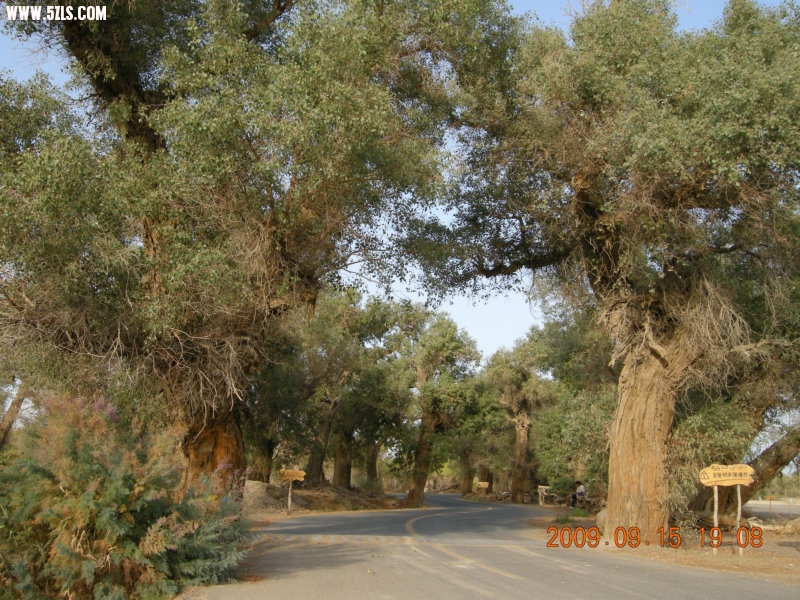DSCN3397.JPG