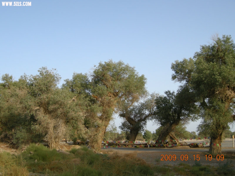 DSCN3398.JPG