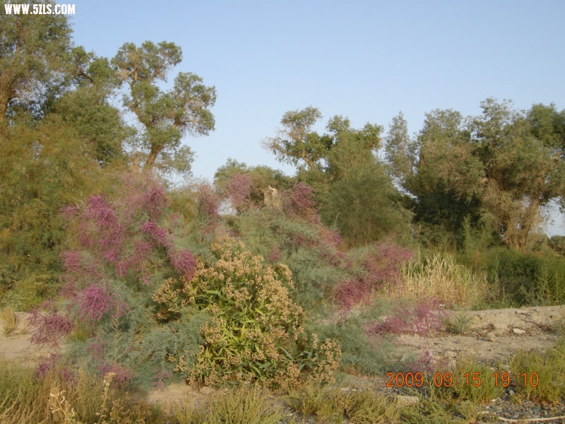 DSCN3399.JPG
