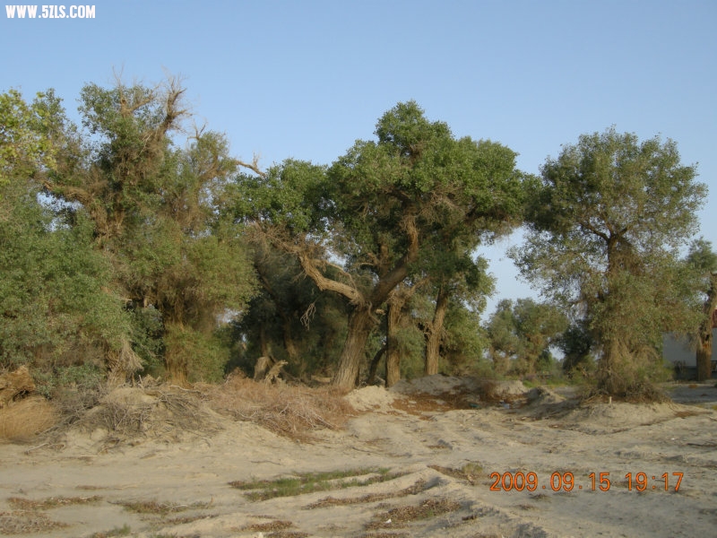 DSCN3407.JPG