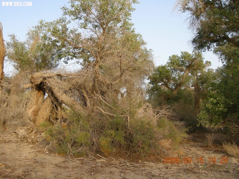 DSCN3410.JPG
