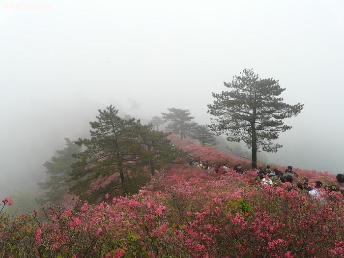 P1130587.jpg